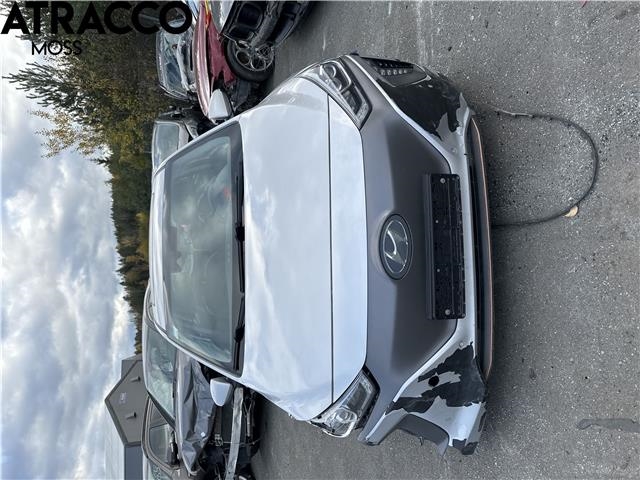 Hyundai Ioniq Electric 2016-2019 (Fase 1) , Motorkode: EM09, Girkassekode: Automat
