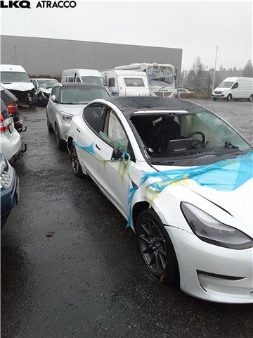 Tesla Model 3 2018-2023 (Fase 1) , Motorkode: 3D3, Girkassekode: Automat