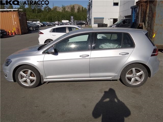 VW e-Golf 2014-2017 (Fase 1) , Motorkode: EAGA, Girkassekode: Automat