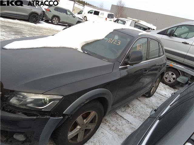 Audi Q5 2008-2012 (Type I, Fase 1) , Motorkode: CAHA, Girkassekode: Automat