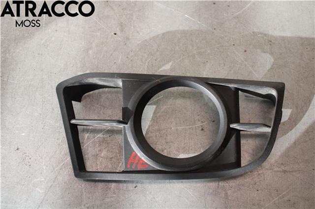 Grill høyre til BMW 5-Serie, 2010-2017 (F10/F11) (F10/F11) (51118059002)