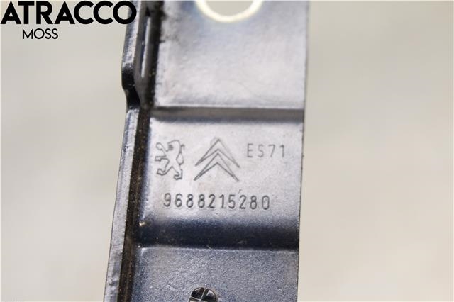Panserhengsler til Citroën C5 2008-2017 (Type II)  (791343|)