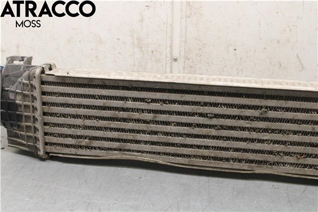 Oljekjøler til Ford Focus 2008-2010 (Type II, Fase 2)  (1506638|)