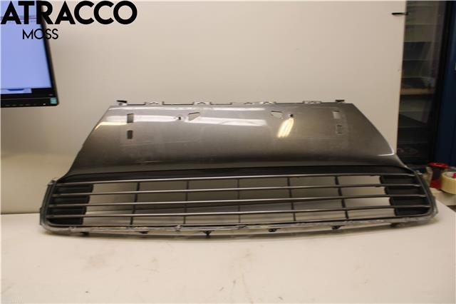 Grill midt til Lexus CT, 2010-2020  (5311276070)