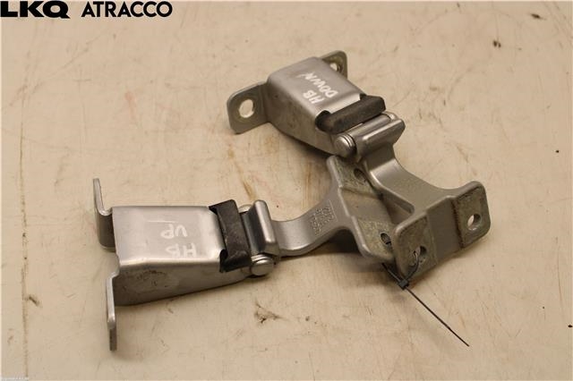 Hengsler til Nissan NV250 2020-->> (9040100Q0B|)