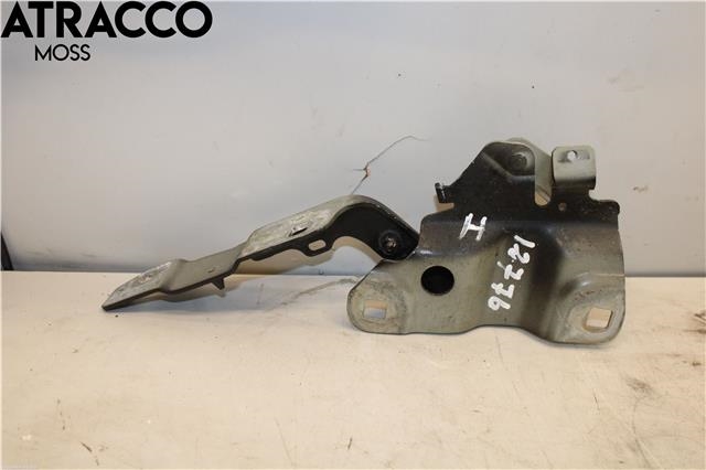 Panserhengsler til Renault Zoe 2013-2019 (Fase 1)  (654018609R|)