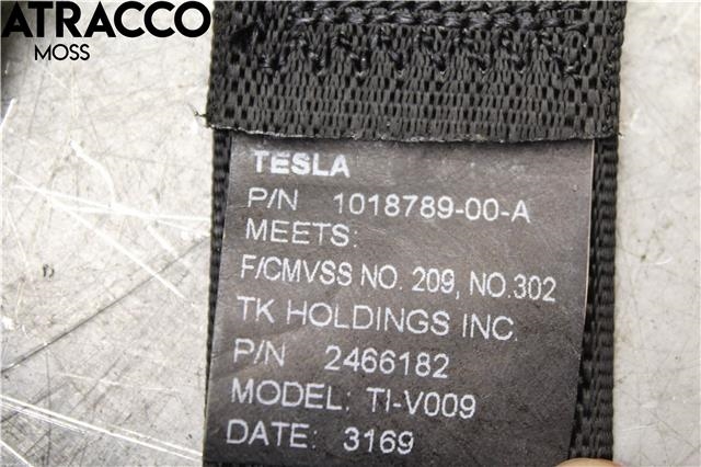 Sikkerhetsbelte bak venstre til Tesla Model S 2013-2016 (Fase 1)  (101878900A|)