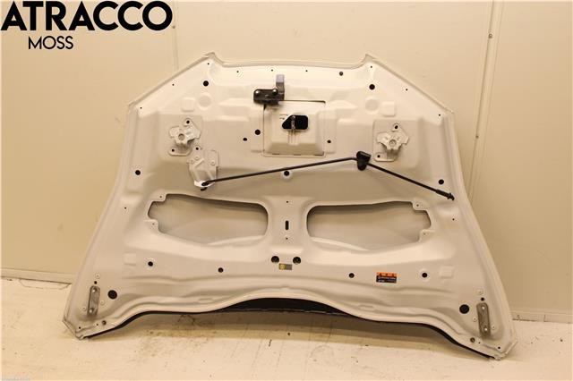Panser til Nissan Leaf 2011-2017 (Type I)  (F51003NLMA|)