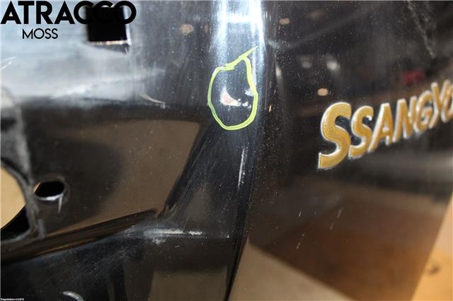 Bakluke combi til SsangYong Rexton 2007-2013 (Y250) (Y250) (NO|)
