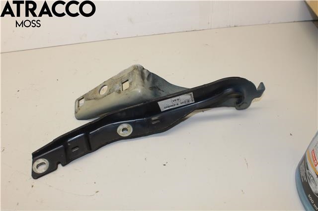 Panserhengsler til Peugeot 308 2007-2011 (Type I, Fase 1)  (7912C8|)