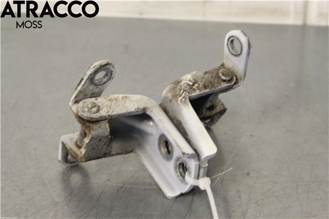 Hengsler til Nissan Leaf 2011-2017 (Type I) (824203NA0A|)