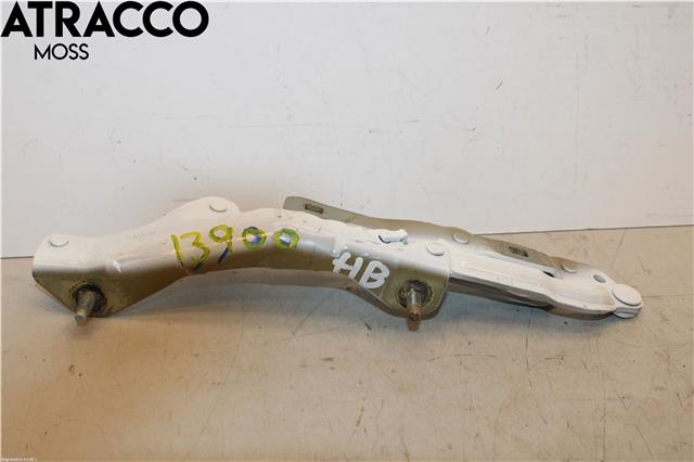 Hengsler til Tesla Model 3, 2018-2023 (Fase 1)  (109282100E)