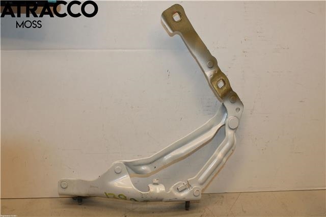 Hengsler til Tesla Model 3 2018-2023 (Fase 1)  (109282100E|)