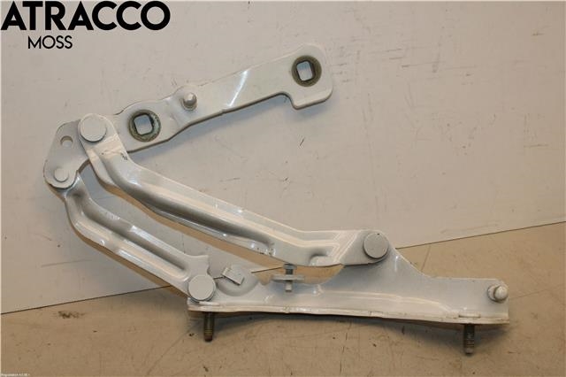 Hengsler til Tesla Model 3 2018-2023 (Fase 1)  (109282100E|)