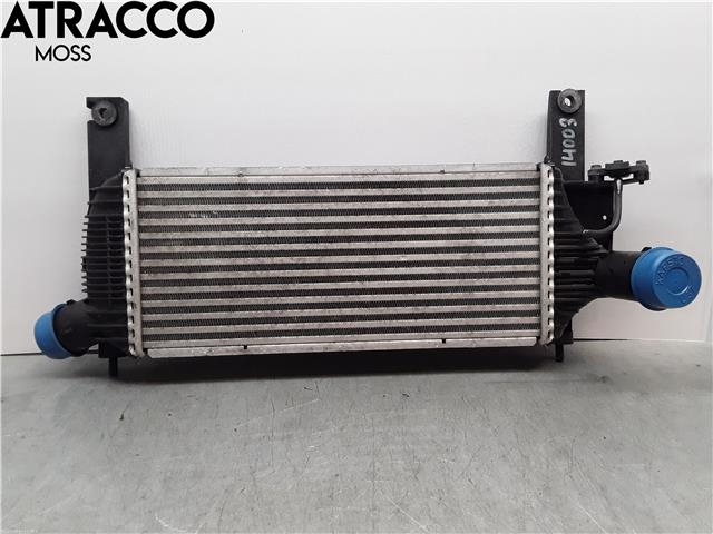 Intercooler til Nissan Navara, 2005-2010 (Fase 1) (D40) (D40) (14461EB360)