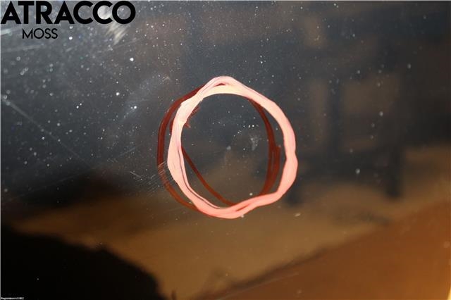 Dør høyre bak til Subaru Outback 2009-2014 (Type IV)  (60409AJ1059P|)
