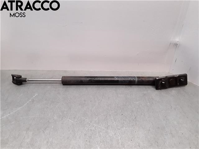 Panserdemper til BMW 7-Serie 2009-2015 (F01/F02/F03/F04) (F01/F02/F03/F04) (51237185032|)