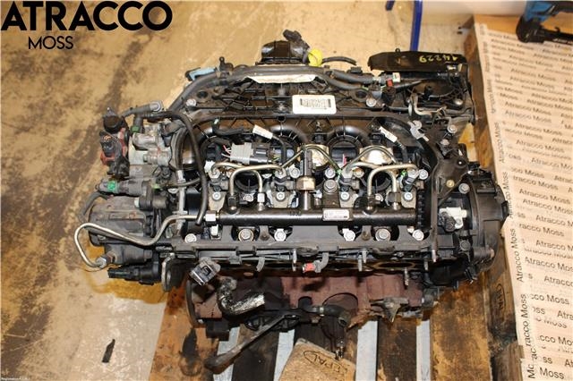 Motor diesel til Ford Focus, 2011-2014 (Type III, Fase 1)  (1869767)