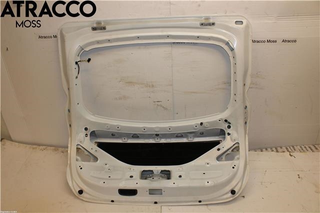 Bakluke combi til Hyundai Ioniq Electric 2016-2019 (Fase 1)  (73700G2000|)