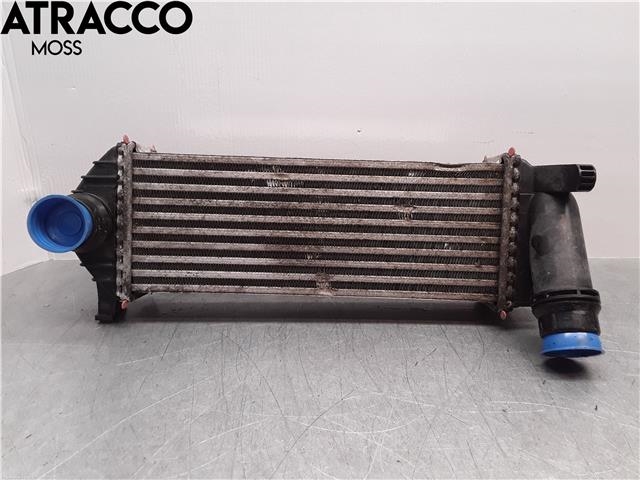Intercooler til Mercedes Citan 2012-2021 (W415) (W415) (A4150900114|)