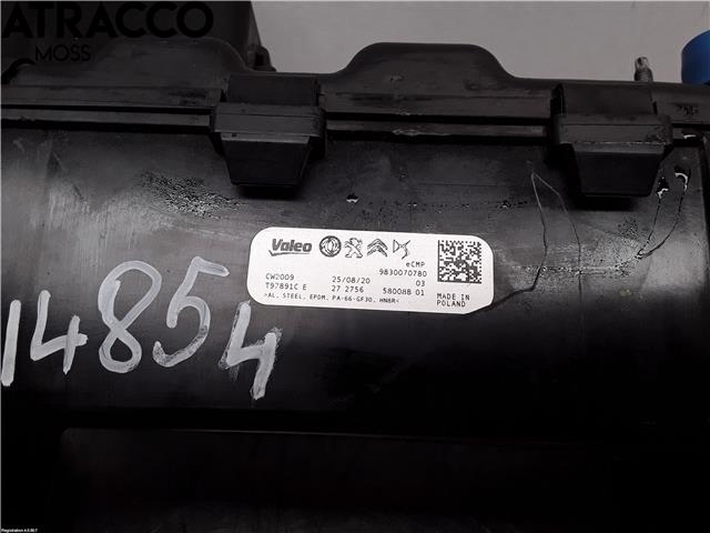 Diverse deler til Peugeot 2008 2019-->> (Type II)  (9830070780|)