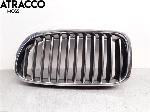 Grill venstre til BMW 5-Serie, 2010-2017 (F10/F11) (F10/F11) (51137203649)