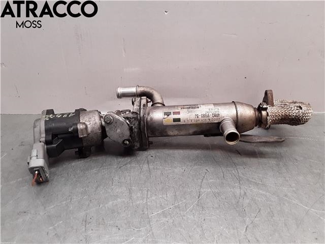 EGR-ventil til Land Rover Range Rover Sport, 2005-2013 (1336562)