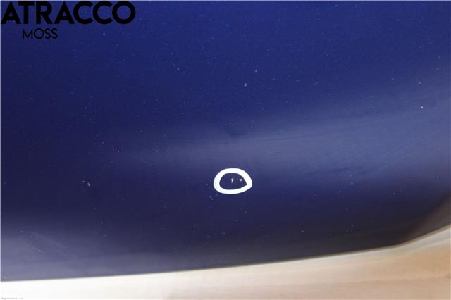 Panser til Ford Focus 2014-2018 (Type III, Fase 2)  (1852919|)