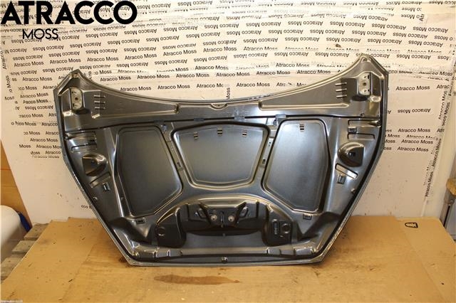 Panser til Ford Focus 2014-2018 (Type III, Fase 2)  (1797477|)