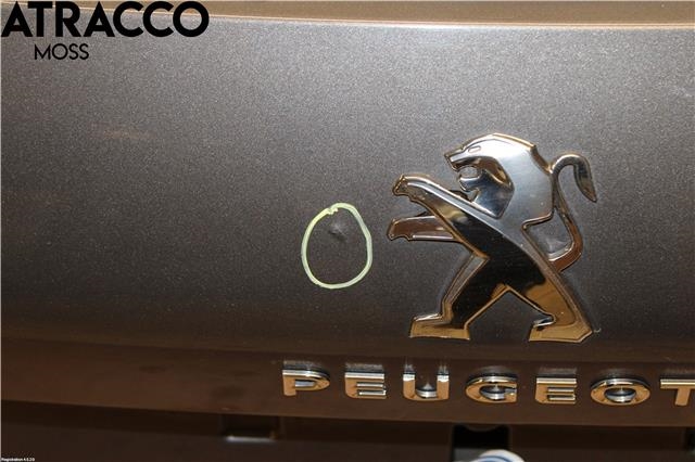 Bakluke combi til Peugeot 308 2013-2021 (Type II)  (1610669880|)