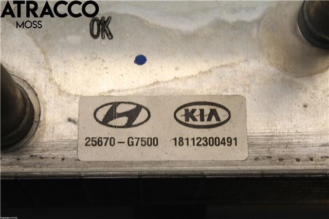 Diverse deler til Hyundai Ioniq Electric 2016-2019 (Fase 1)  (25671G7500|)