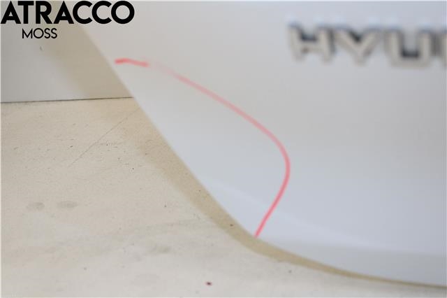 Bakluke combi til Hyundai Ioniq Electric 2016-2019 (Fase 1)  (73700G2000|)