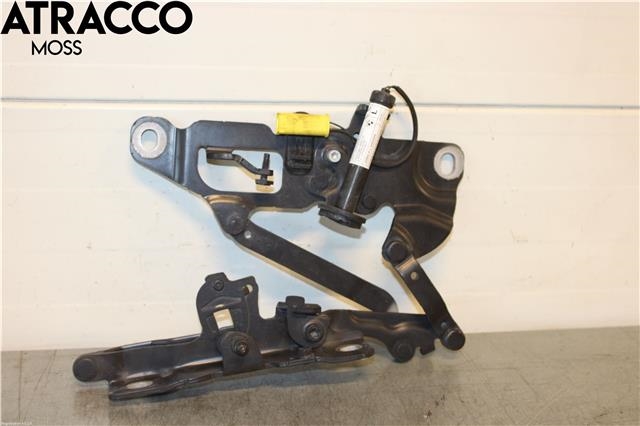 Panserhengsler til BMW 5-Serie 2010-2017 (F10/F11) (F10/F11) (41007270883|)