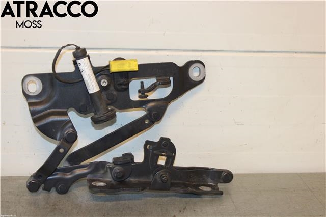 Panserhengsler til BMW 5-Serie 2010-2017 (F10/F11) (F10/F11) (41007270884|)