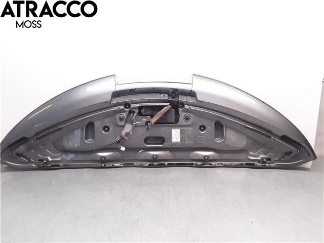 Spoiler bakluke til Nissan Leaf 2011-2017 (Type I)  (960323NL0H|)