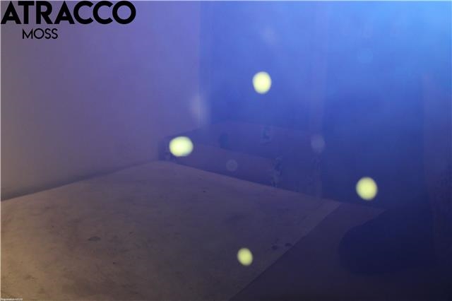 Panser til BMW 1-Serie 2004-2011 (E81/E82/E87/E88) (E81/E82/E87/E88) (41627162102|)