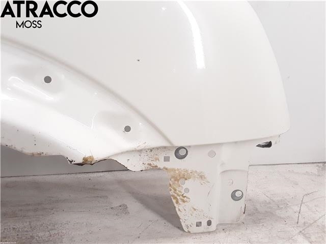 Skjerm høyre foran til Ford Transit Connect 2003-2009 (Type I, Fase 1)  (5131151|)