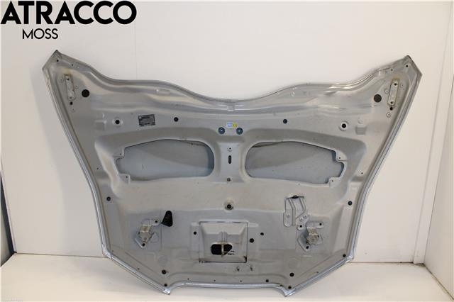 Panser til Nissan Leaf 2011-2017 (Type I)  (F51003NLMA|)