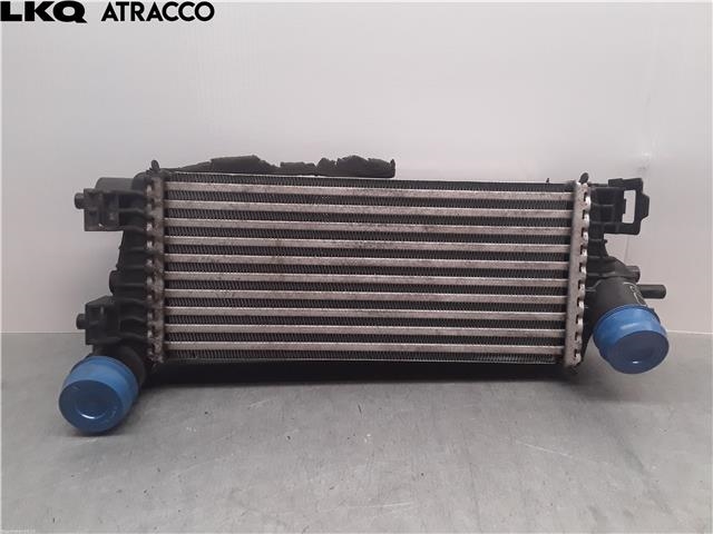 Intercooler til Ford Focus, 2011-2014 (Type III, Fase 1)  (2026747)