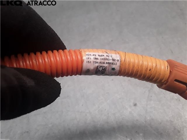 Ledningsnett til Mercedes B-Klasse 2011-2018 (W246) (W246) (101592702B|)