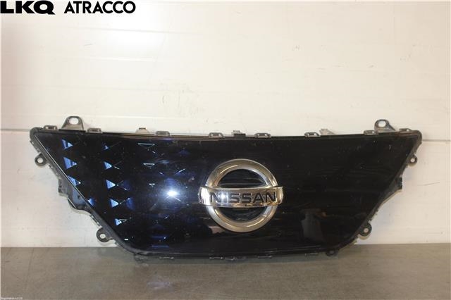 Grill til Nissan Leaf, 2018-->> (Type II)  (620725SK0D)