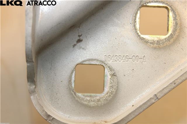 Panserhengsler til Tesla Model 3 2018-2023 (Fase 1)  (109879300D|)