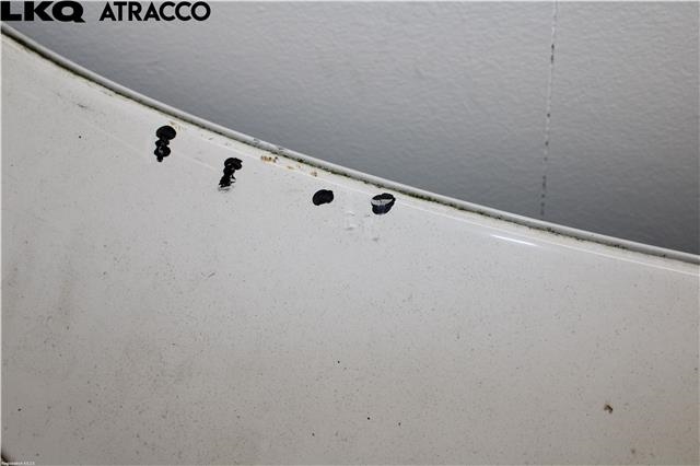 Panser til VW Beetle 2011-2018 (Type II) (5C5823031A|)