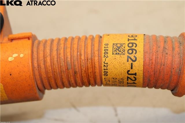 Kabel høy volt (HV) hybrid til Kia e-Soul 2019-->> (Type III) (91662J2100|)