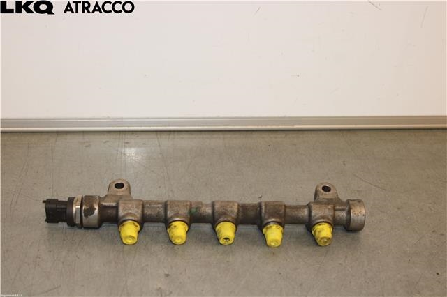 Dyseskinne (fuelrail) til Kia Sportage, 2010-2016 (Type III)  (314002A420)