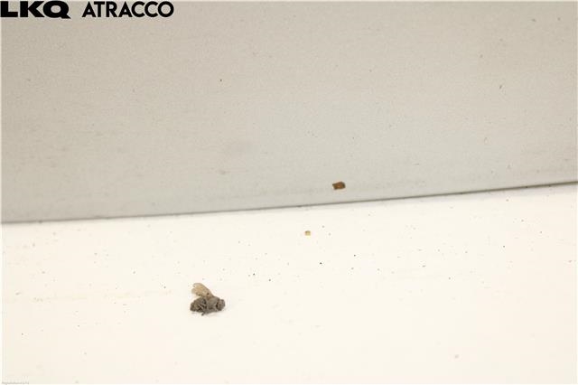 Panser til Peugeot Expert 2016-->> (Type III)  (9811892880|)