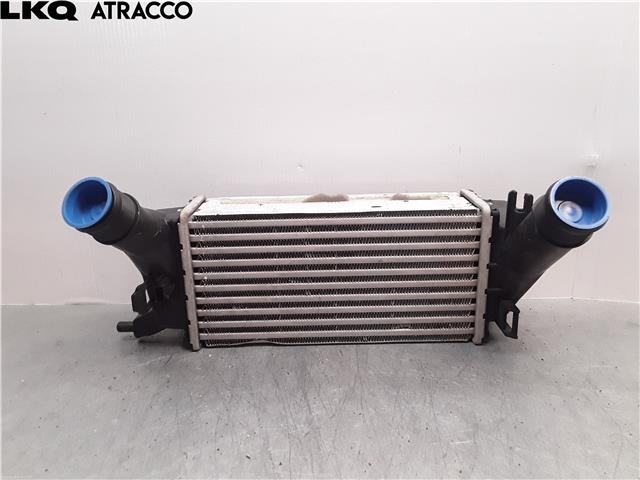 Intercooler til Ford Ecosport, 2016-->>  (2163154)