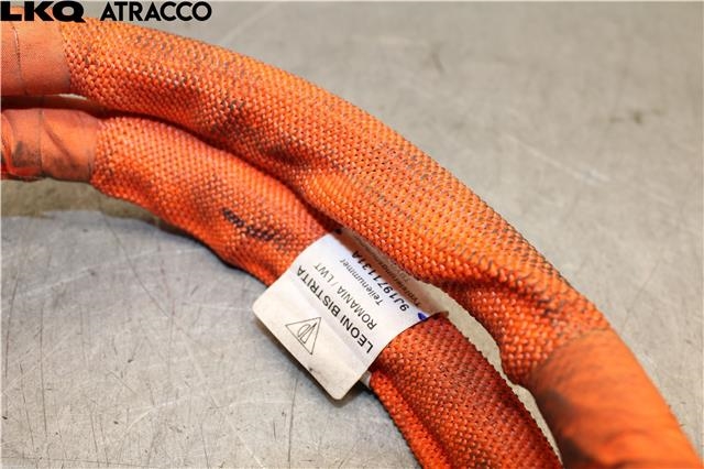 Ledningsnett til Porsche Taycan 2019-->>  (9J1971131A|)