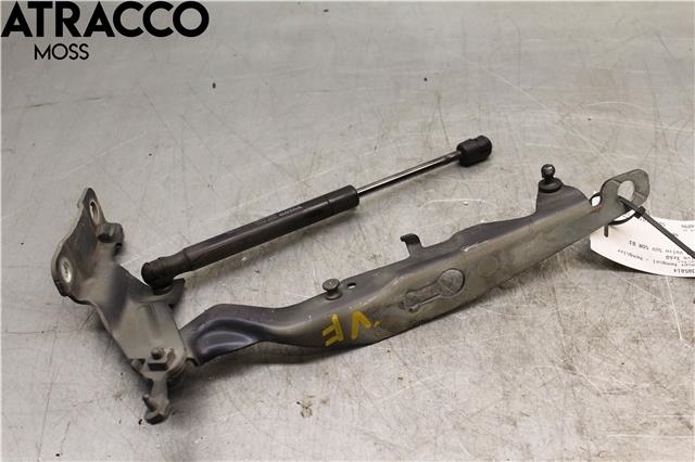 Panserhengsler til Volvo XC60 2008-2013 (Type I, Fase 1)  (31385814|)