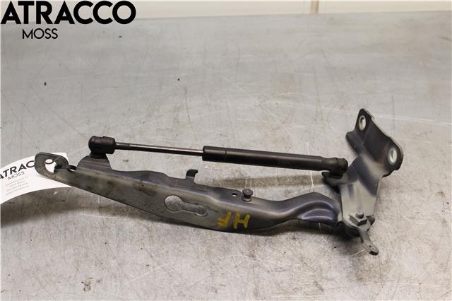 Panserhengsler til Volvo XC60 2008-2013 (Type I, Fase 1)  (31385815|)